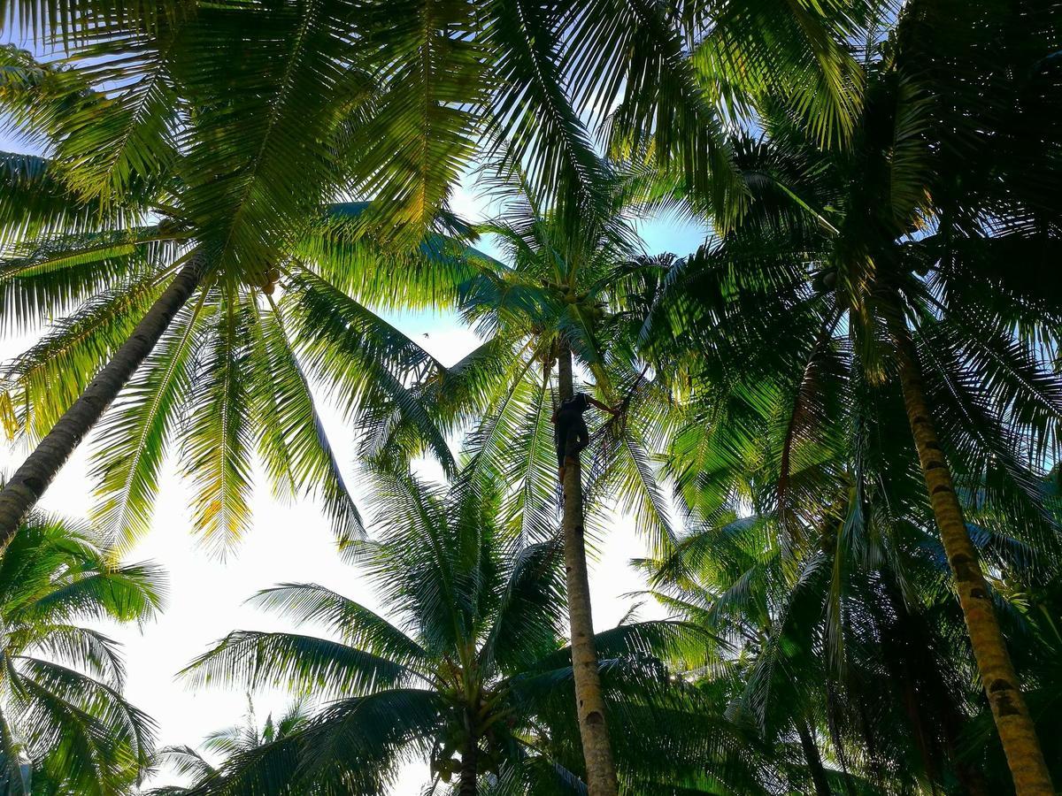 Siargao Residency Apartment Union  Luaran gambar