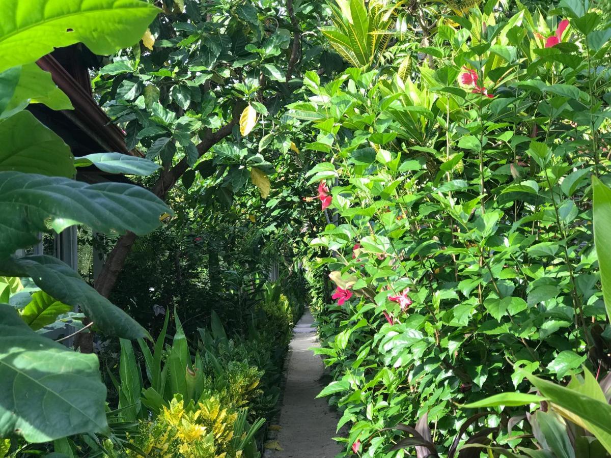Siargao Residency Apartment Union  Luaran gambar